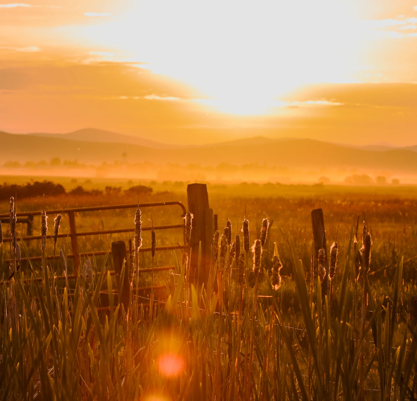 Sunset over grassy field and hills